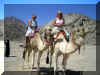 Hurghada_2007_Desert_C39.jpg (101496 octets)