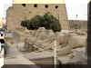Hurghada_2007_Excursion Louxor_Karnak_192.JPG (60609 octets)