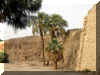 Hurghada_2007_Excursion Louxor_Karnak_219.JPG (68787 octets)