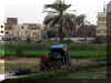 Hurghada_2007_Excursion Louxor_Louxor_221.jpg (58037 octets)