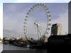 Londres_v09_London_eye.jpeg (30260 octets)